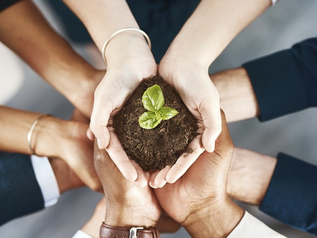 Planting the Seeds: How Cultivating Talent Internally Helps Employers Win the War for Skilled Workers